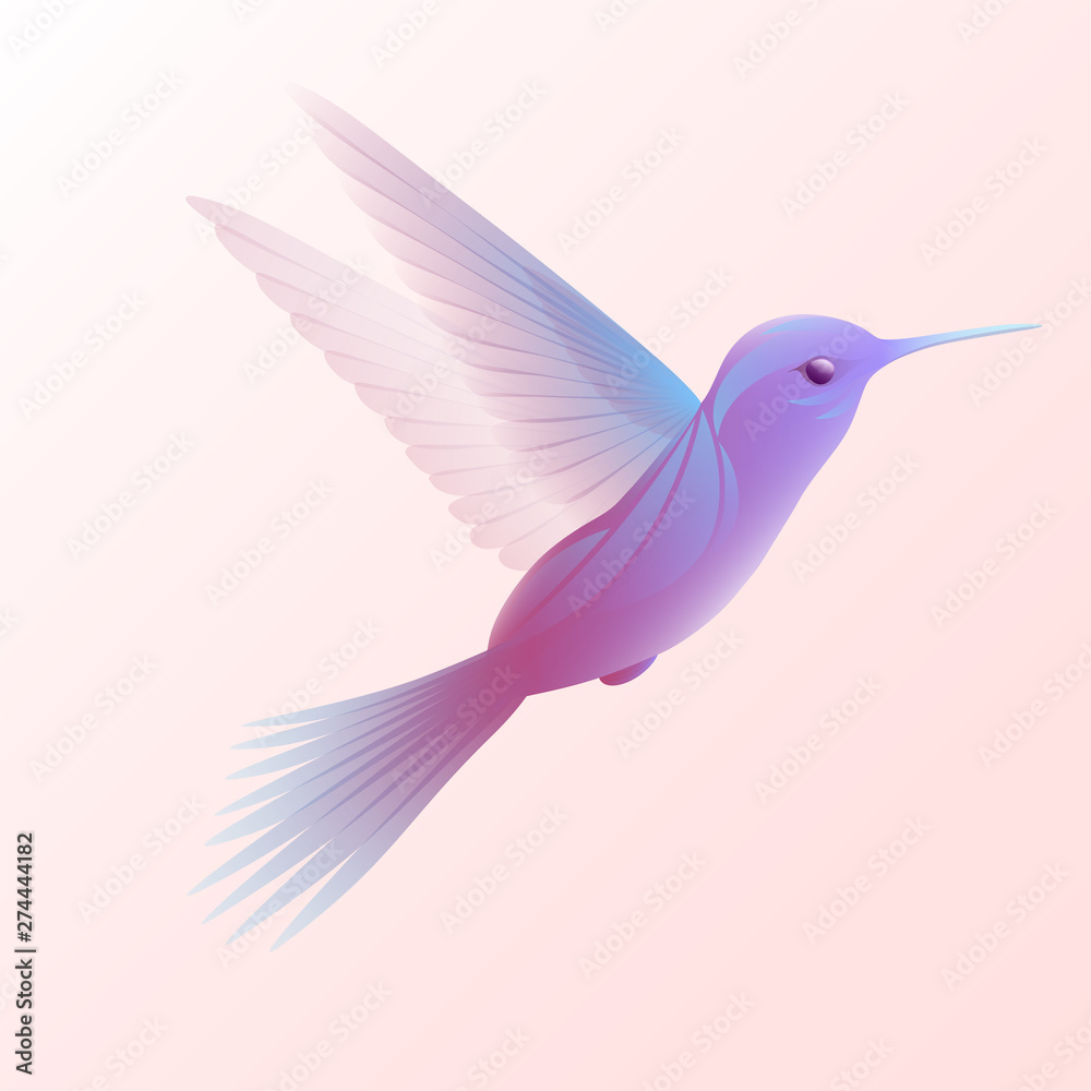 Fototapeta premium Beautiful abstract Bird in flight. Isolated object on white-pink background.Vector illustration.