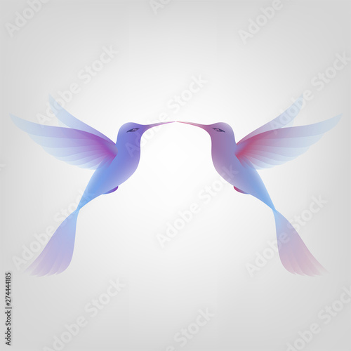 Beautiful Amazing exotic birds in flight. Birds in love. Isolated  object on white background. Vector illustration.