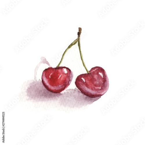 hand drawn watercolor illustration of juicy red sweet cherry isolated on white background. watercolor sketch