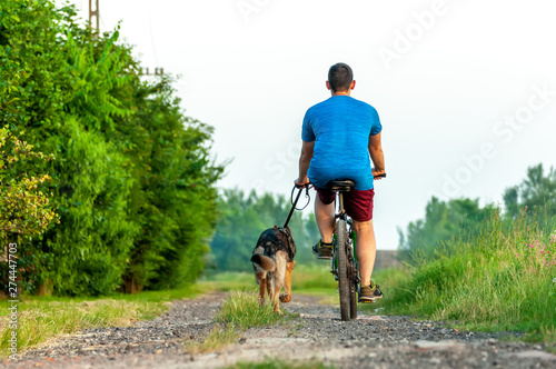 View on a dog and a man on a bike while training a german shepherd dog