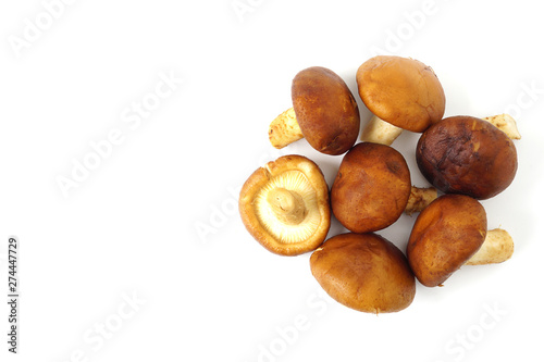 Top view fresh brown chestnut mushrofms vegetable isolated on white background