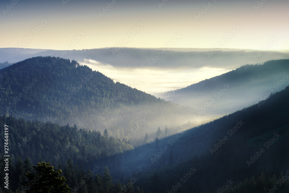 Schwarzwald, Nebel, Sonnenaufgang, Berge, Natur, Wald, Bäume