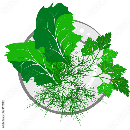 lettuce, dill and arugula on a white plate, top view
