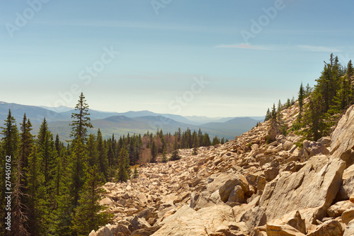 Steep slope with large stones and conifers photo