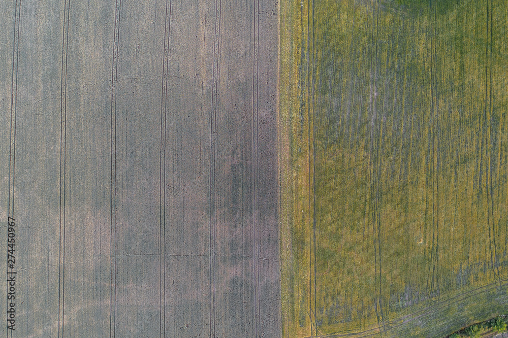 Naklejka premium top down of the field 