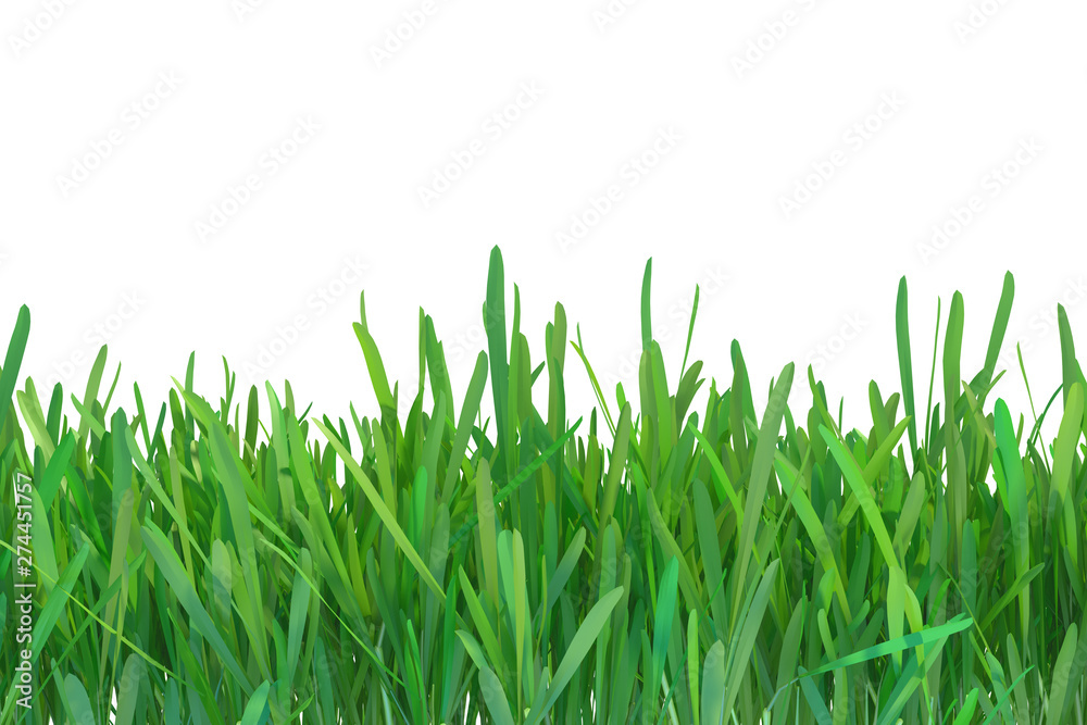Naklejka Natura zielona trawa. sadzi trawnik. 3d odpłaca się naturalnego tło.