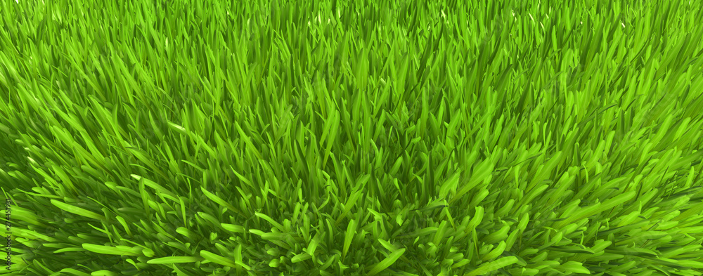 Green grass. background texture. fresh spring green grass. 3d rendering Green grass. background texture. fresh spring green grass. 3d rendering