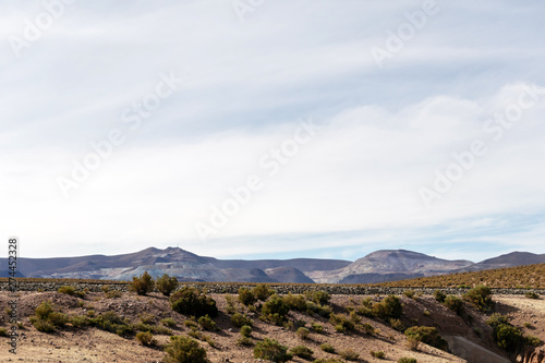 Desert landscapes with mountains in Bolivia at the dry season, dry vegetation is a natural background