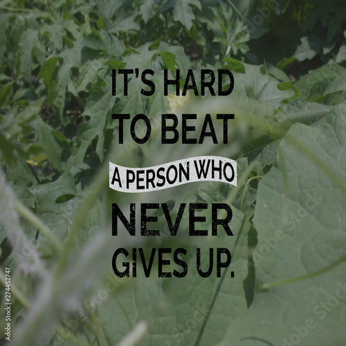 Quote about Life. It's Hard to beat a person who never gives up.