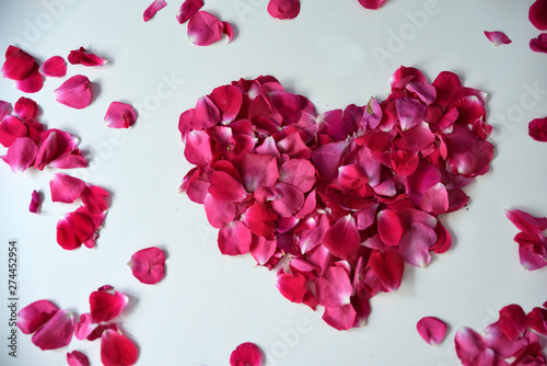 Heart of pink rose petals on white background