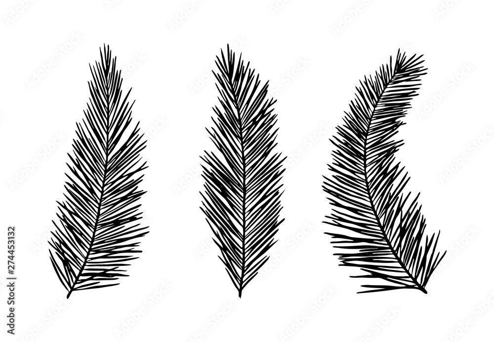 Obraz premium Hand drawn palm silhouettes. vector illustration.