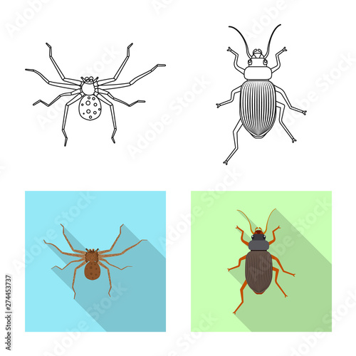 Vector design of insect and fly icon. Set of insect and element vector icon for stock. © Svitlana