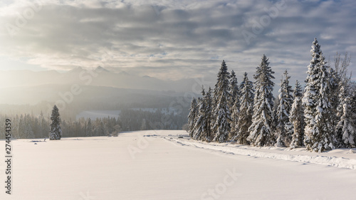 Tatra Mountain in winter, landscape wiht wiev of Tatra Poland Pieniny zakopane