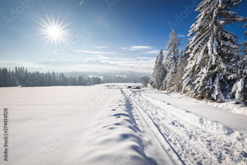 Tatra Mountain in winter, landscape wiht wiev of Tatra Poland Pieniny zakopane © PawelUchorczak