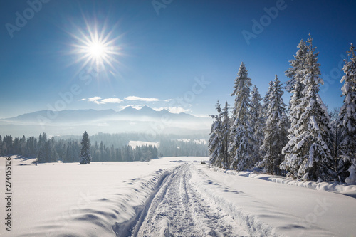 Tatra Mountain in winter, landscape wiht wiev of Tatra Poland Pieniny zakopane © PawelUchorczak