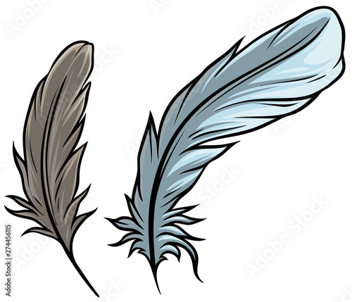 Cartoon colorful detailed bird feathers. Isolated on white background. Vector icon set.