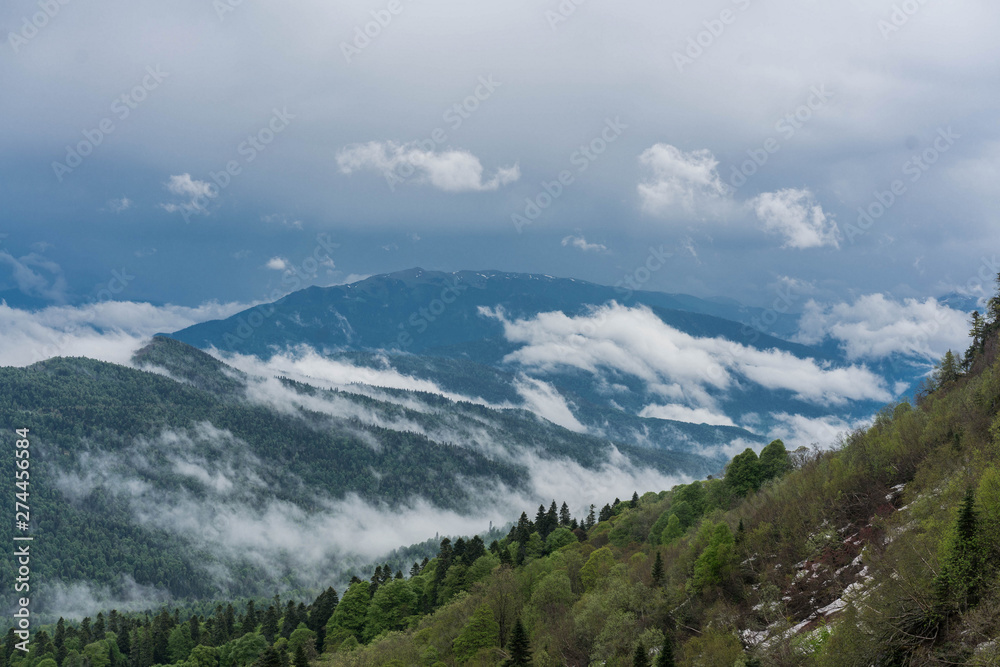 Foggy landscape of the morning plateau LagoNaki Adygea Republic with low clouds over the mountain peaks