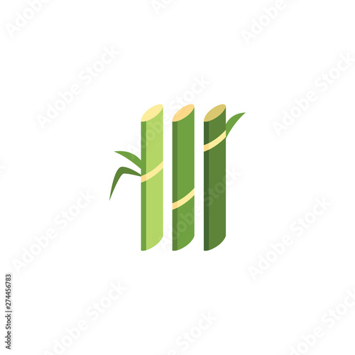 Green sugar cane plant stalks - geometric flat icon of sugarcane farm produce