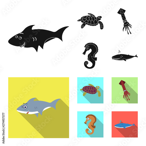 Vector illustration of sea and animal sign. Collection of sea and marine stock vector illustration.