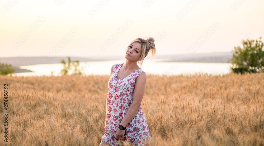 young seductive rural blond hair woman in dress on the yellow wheat field on the sunset young seductive rural blond hair woman in dress on the yellow wheat field on the sunset
