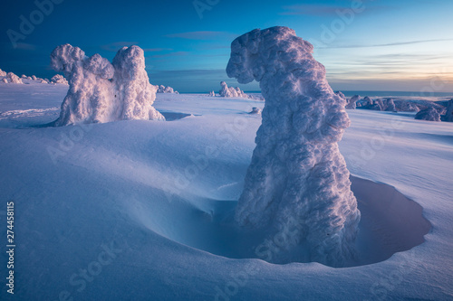 Winter in Jeseniky Mountains in czech repbulic 2018 photo