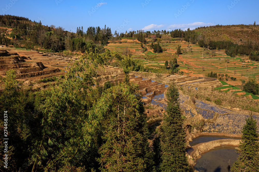 Honghe Yuanyang, Samaba Rice Terrace Fields - Baohua township, Yunnan Province China. Sama Dam Multi-Color Terraces - grass, mud construction layered terraces filled with water, blue sky reflection