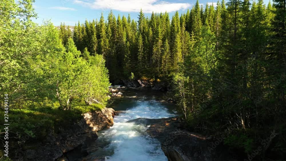 LOCKED OFF view of river with strong current flowing through green summer forest