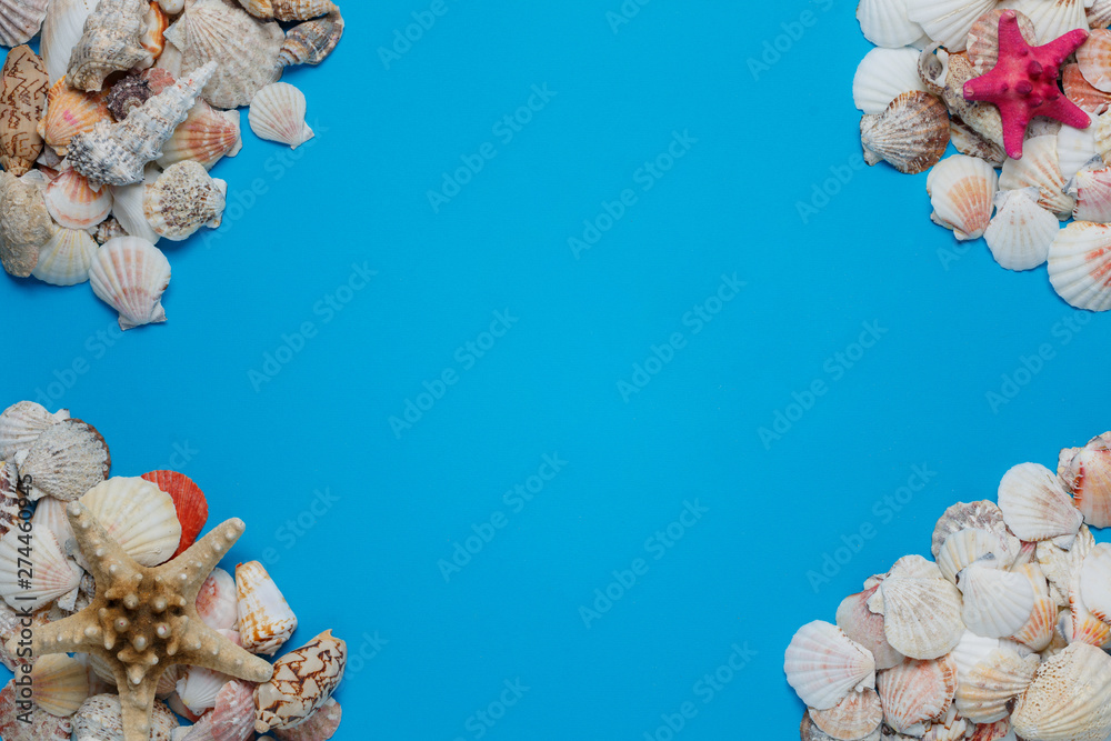 Obraz premium Exotic Seashell Decorative Composition Flat Lay