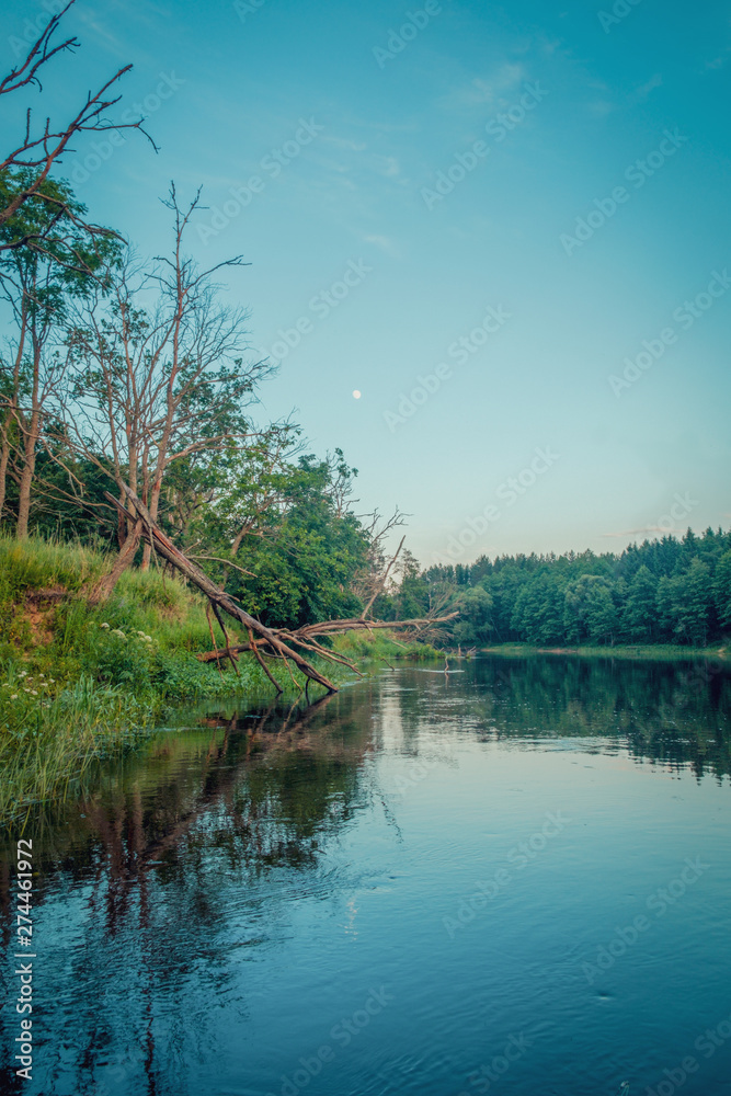 Obraz premium Moon over the evening river