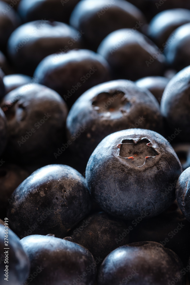Obraz premium Makroaufnahme von Heidelbeeren im Gegenlicht