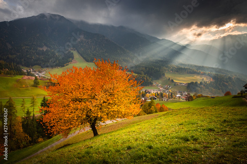 Dolomiti in Autumn landscape tree colours mountains