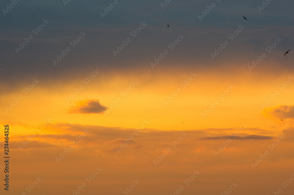 Landscape with dramatic light - beautiful golden sunset with saturated sky and clouds. Landscape with dramatic light - beautiful golden sunset with saturated sky and clouds.