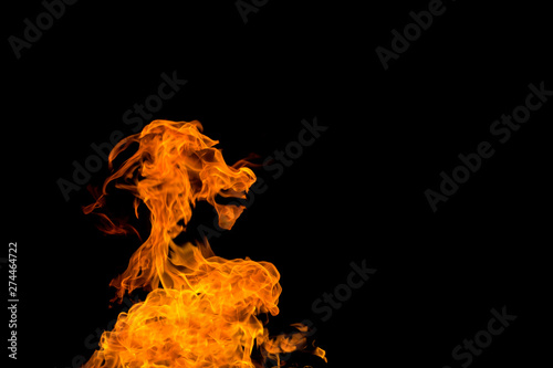 Fire in the shape of a goat's muzzle. Fire flames on black background isolated. fire patterns © Yevgeniy