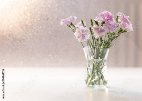 Image with carnations. © 02irina