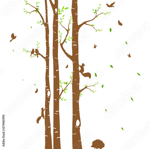 Beautiful tree branch with birds silhouette background for wallpaper sticker