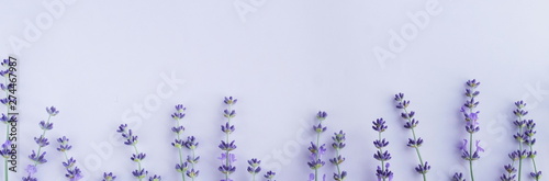 Flowers background banner. Frame pattern of lavender flowers on pale purple, violet  background. top view. copy space