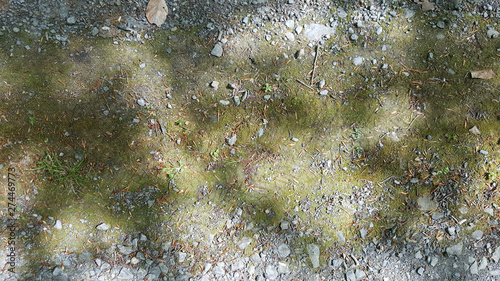 Natural Stones on Outdoor Floor Background