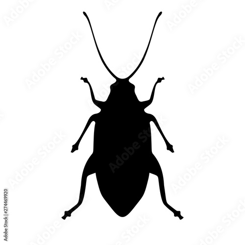 Black cockroach silhouette icon