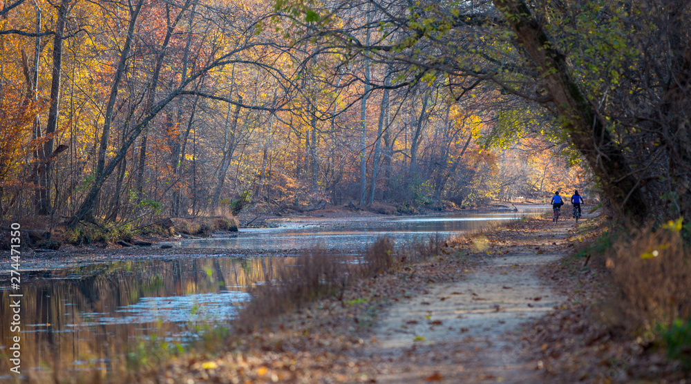 Fototapeta premium Potomac Tow Path C&O Canal