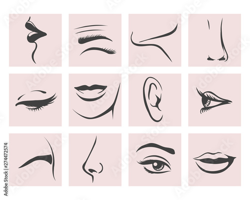 Female Head Parts set in contour style. Vector illustration.