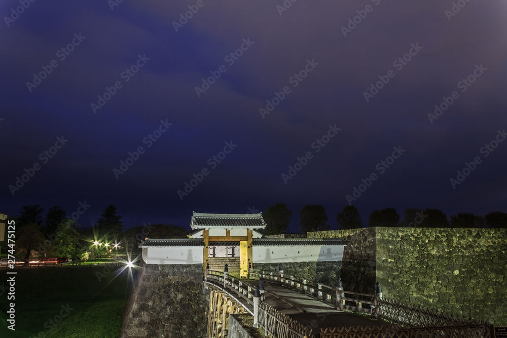 Fototapeta premium 春の山形城跡の本丸跡の風景