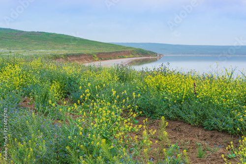 Crimea nature reserve - the road to travel photo