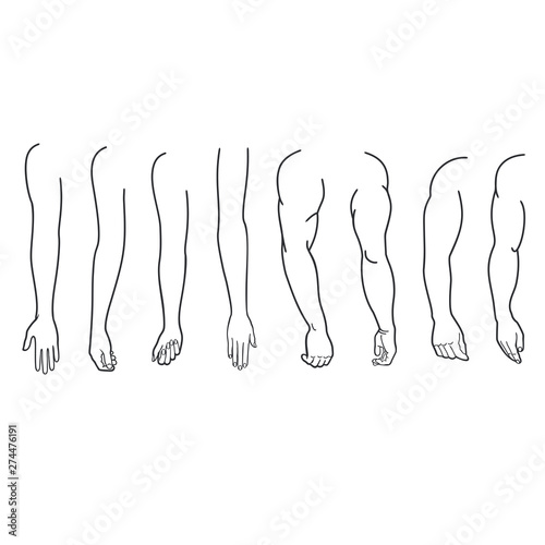 Illustration of male and female hands drawn by contour line. Multiple images set of female and man hand gestures isolated over white background. Hand gesture collection illustration, line art, vector.