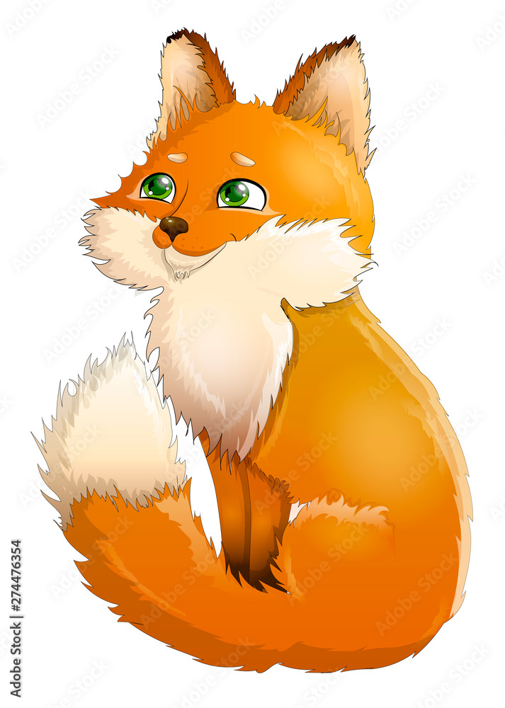 Obraz premium 2 Red fox 