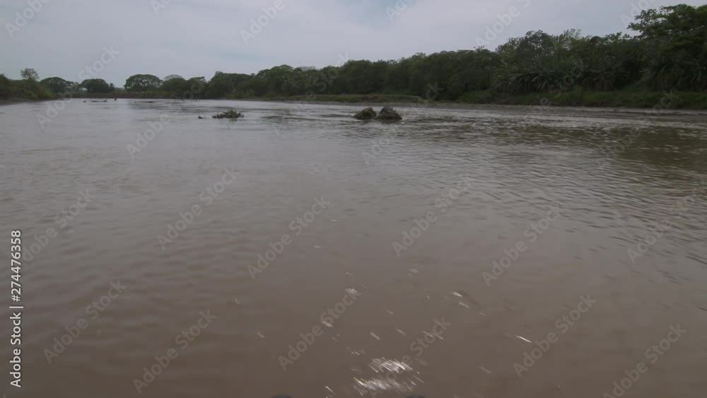 Wide low angle push- in fast sailing dolly shot of serene plain river water flow, silhouettes of trees on a grey sky, and eroded dead tropical trees along the wide water-way, Nature Reserve, Colombia Wide low angle push- in fast sailing dolly shot of serene plain river water flow, silhouettes of trees on a grey sky, and eroded dead tropical trees along the wide water-way, Nature Reserve, Colombia