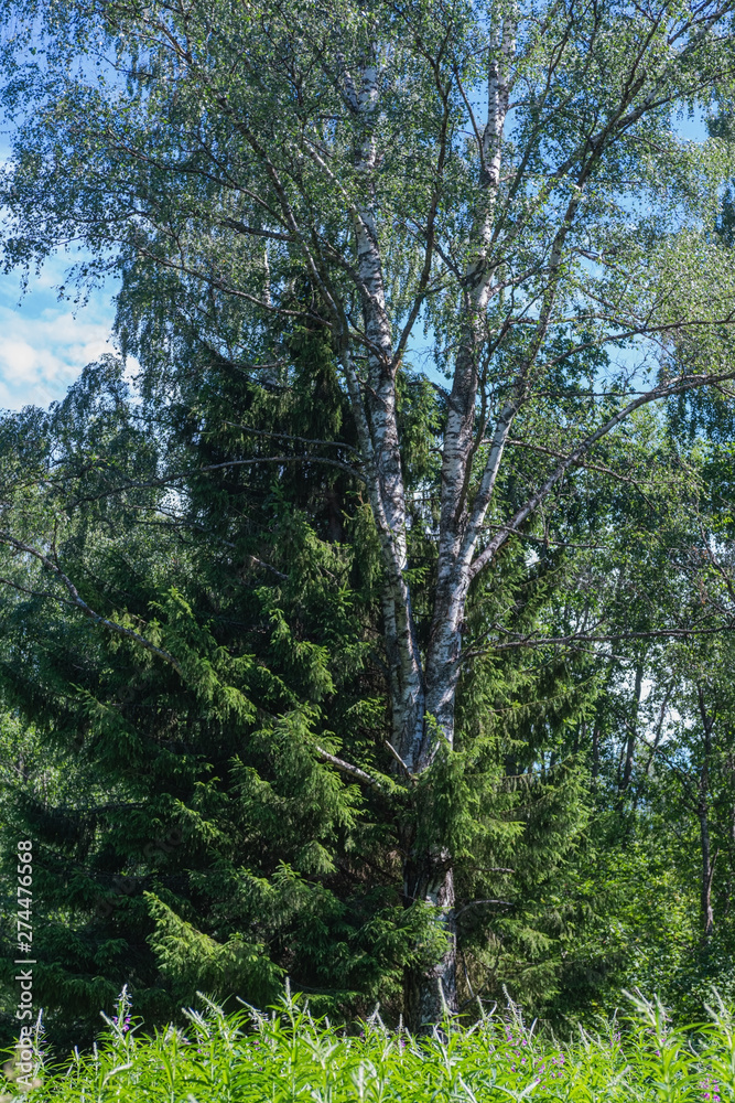 Ladoga lake- visit the national Park Ladoga lake- visit the national Park