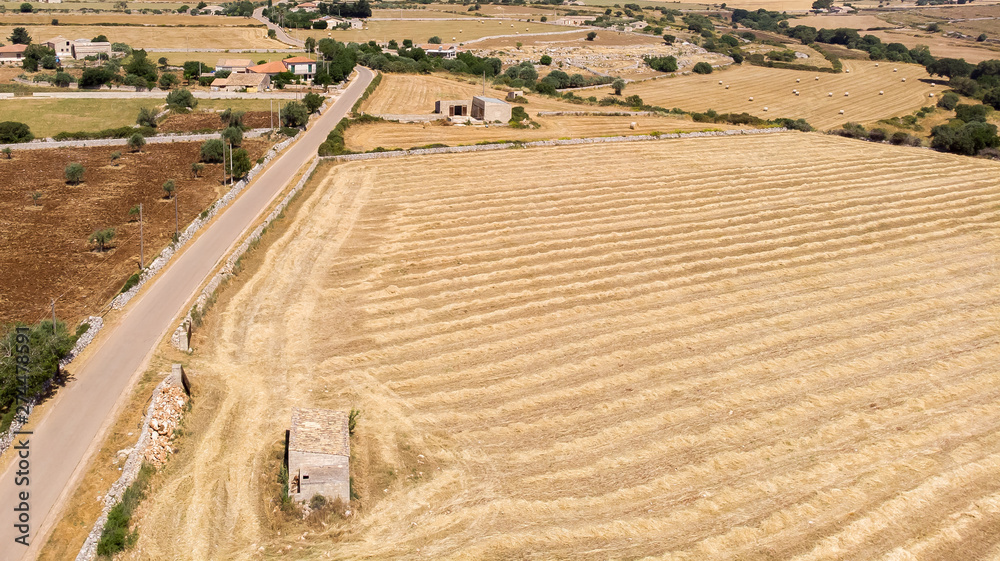 Obraz premium Aerial view of some fields of wheat during a beautiful sunny day in June in Sicily (Italy)