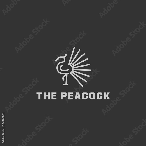 Minimal icon logo peacock with line art, icon logo animal concept