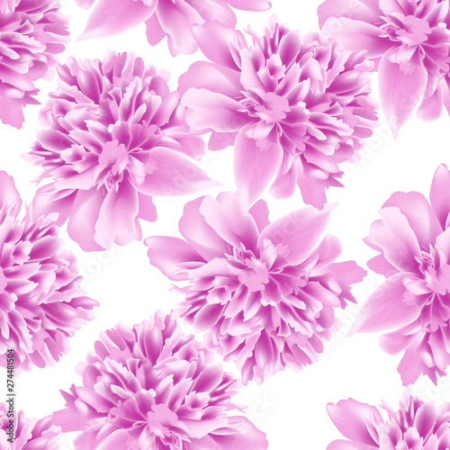 Beautiful seamless pattern with Peony flowers. Vector illustration, EPS10