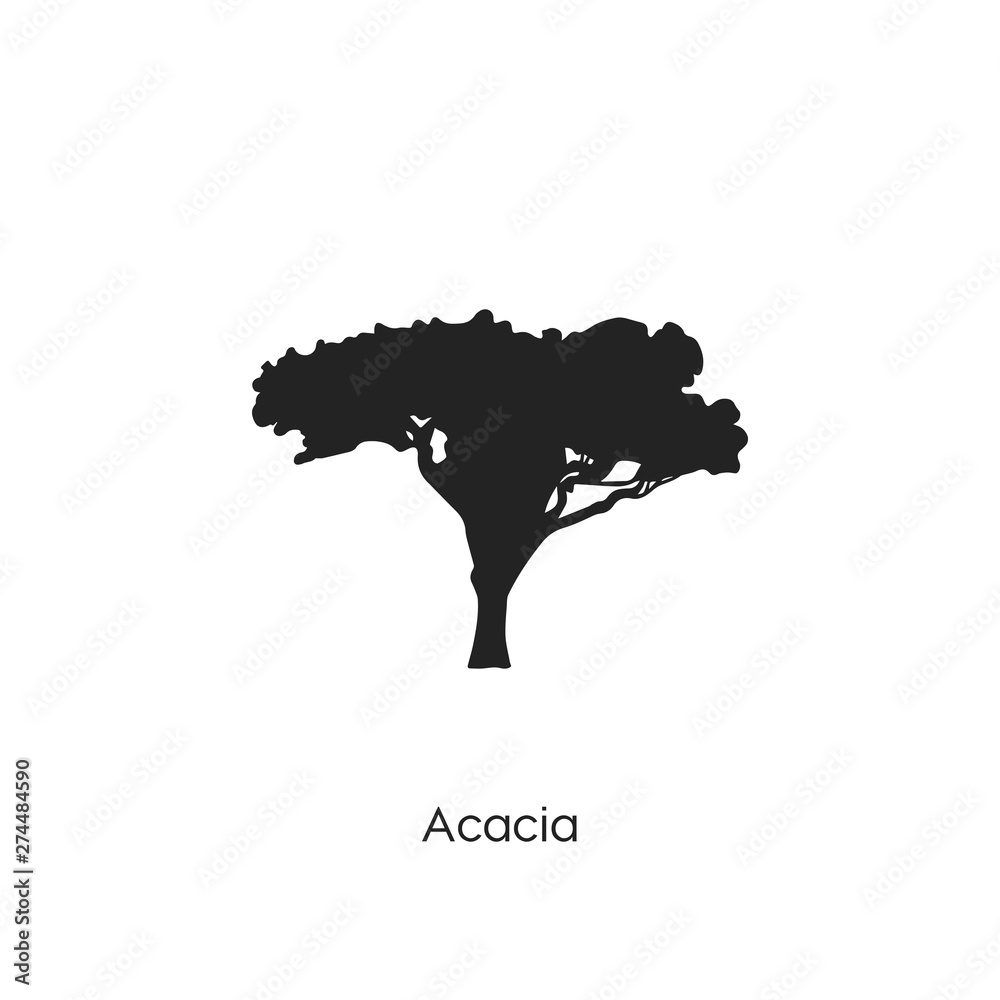 Acacia icon vector symbol sign